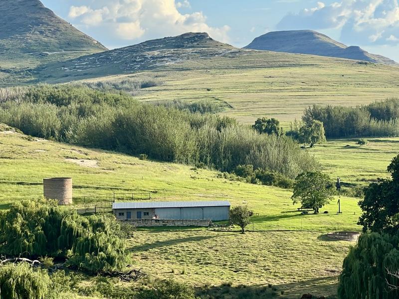 0 Bedroom Property for Sale in Fouriesburg Free State